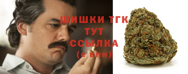дурь Мегион