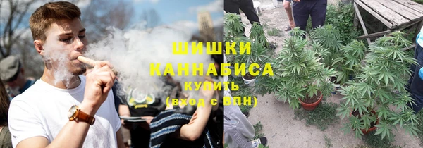 дурь Мегион