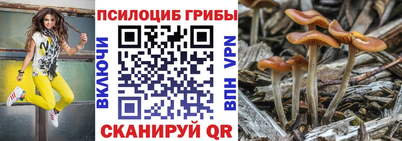 Псилоцибиновые грибы Cubensis Нариманов