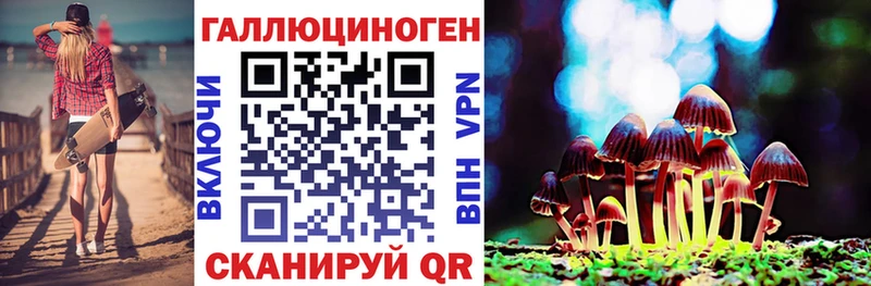 Купить  Нариманов  Псилоцибиновые грибы Psilocybine cubensis 